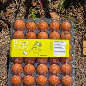 Huevos Liberté por 30 unidades