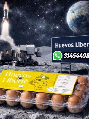 9a5ecb18-406a-460c-a0cd-dc87a5af8195